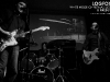 gallery-logfox_dwc